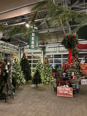 SEOANE’S GARDEN CENTER - Updated May 2026 - 107 Photos &amp; 42 Reviews ...