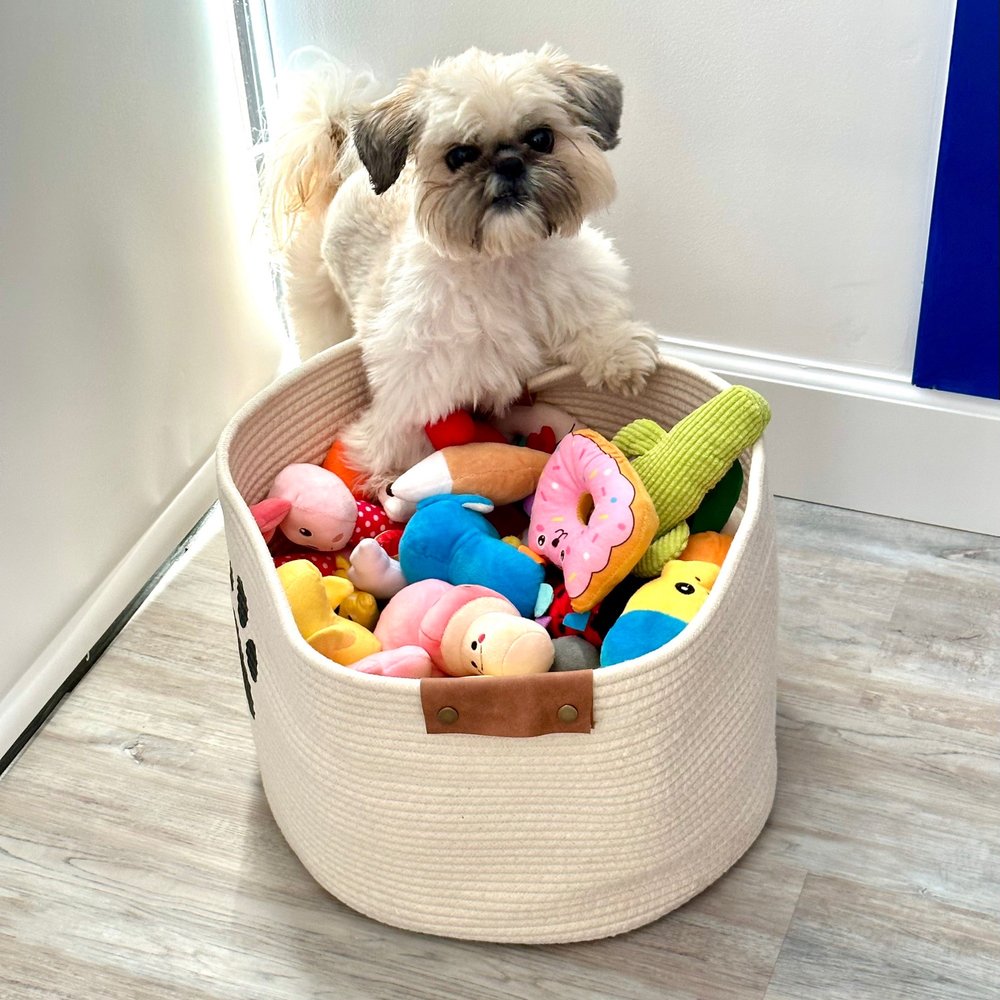 HIP HIP FURRAY 45 Photos 1403 S Federal Hwy, Boynton Beach, Florida