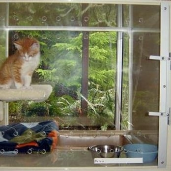 PurrInn Cats Hostelry - PurrInn Cats Hostelry View Condo - Pet Sitting Near Me