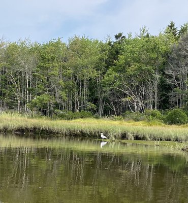 Coastal Maine Hike and Bike by null