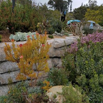 Africa Rocks - Zoos Near Me - San Diego, California Africa Rocks - Zoos Near Me - San Diego, California