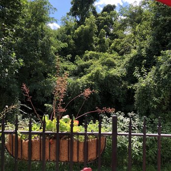 Great Sage - View from deck - Vegan Near Me - Clarksville, Maryland
