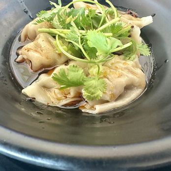 Vietnam Bistro - Special: Spicy Potsticker - Vietnamese Near Me - Katy, Texas Vietnam Bistro - Special: Spicy Potsticker - Vietnamese Near Me - Katy, Texas