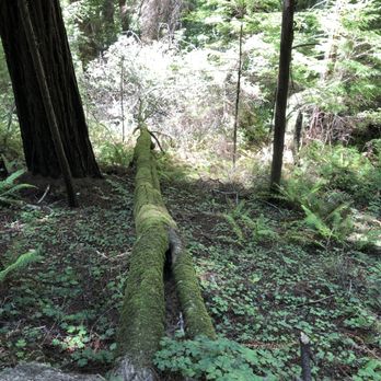 Russian Gulch State Park - Parks Near Me - Mendocino, California Russian Gulch State Park - Parks Near Me - Mendocino, California