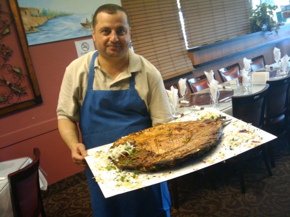 Al Masgoof Grill 41 Photos 51 Reviews Middle Eastern 4197 E 14 Mile Rd Sterling Heights Mi United States Restaurant Reviews Phone Number