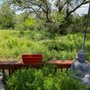 Texas Land Revival