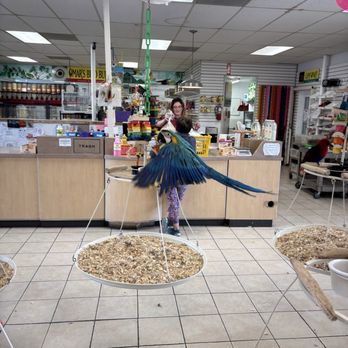 Omar's Exotic Birds - Pet Sitting Near Me - Lake Forest, California Omar's Exotic Birds - Pet Sitting Near Me - Lake Forest, California