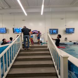 SwimLabs Swim School - Sugar Land
