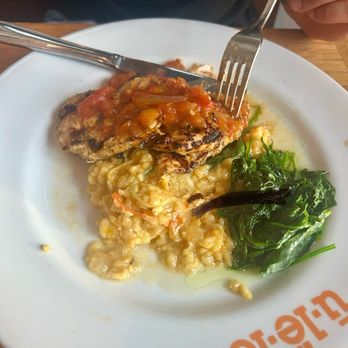 Ulele - Fire Roasted Chicken - New American Near Me - Tampa, Florida