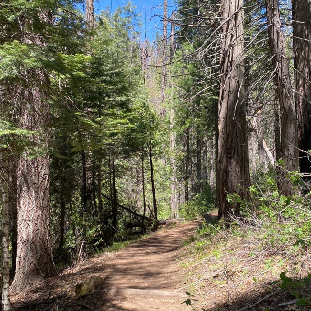 Lewis Creek Trail - Our view in the hike. - Hiking Near Me Lewis Creek Trail - Our view in the hike. - Hiking Near Me