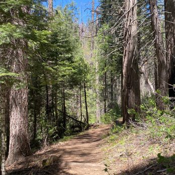 Lewis Creek Trail - Our view in the hike. - Hiking Near Me Lewis Creek Trail - Our view in the hike. - Hiking Near Me