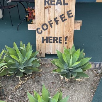 Barclays Coffee and Tea - The front walkway - Coffee & Tea Near Me - Northridge, California Barclays Coffee and Tea - The front walkway - Coffee & Tea Near Me - Northridge, California