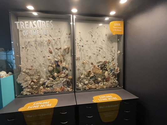 National Aquarium of New Zealand by null