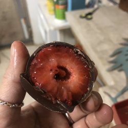 Edible Arrangements - First batch