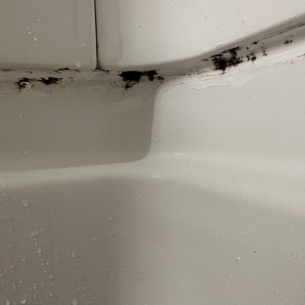 Sleep Inn & Suites Columbus State University Area - Lots of mold in bathroom - Hotels Near Me - Columbus, Georgia