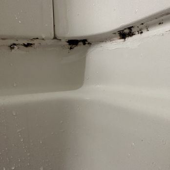 Sleep Inn & Suites Columbus State University Area - Lots of mold in bathroom - Hotels Near Me - Columbus, Georgia Sleep Inn & Suites Columbus State University Area - Lots of mold in bathroom - Hotels Near Me - Columbus, Georgia