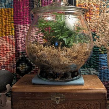 Goodwill - I fashioned this terrarium from a glass cookie jar. Do you like it? Glenn - Thrift Stores Near Me - Winter Park, Florida Goodwill - I fashioned this terrarium from a glass cookie jar. Do you like it? Glenn - Thrift Stores Near Me - Winter Park, Florida