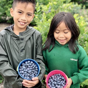 Temecula Berry - Farms Near Me - Temecula, California