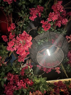 Truth Restaurant Astoria by null