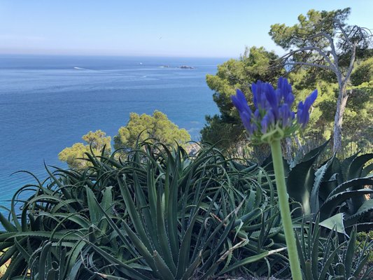 Jardíns de Cap Roig by null