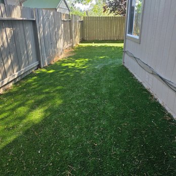Tail Wagging Poop Patrol - Pet Waste Removal Near Me Tail Wagging Poop Patrol - Pet Waste Removal Near Me