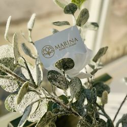 Marina Esthetic Studio - Gift card season is here