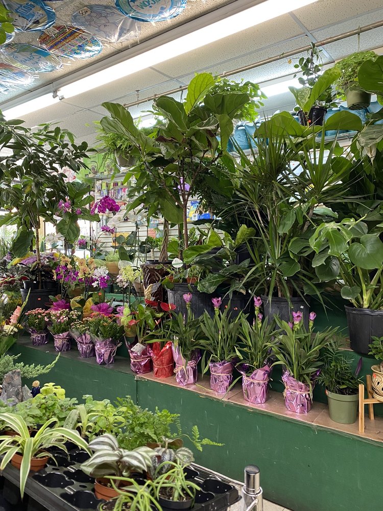 WORLD OF FLOWERS Updated October 2024 27 Reviews 971 Manhattan