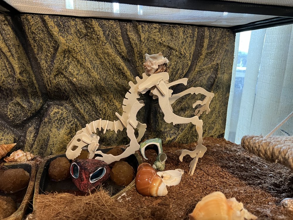 Pet Supermarket Image