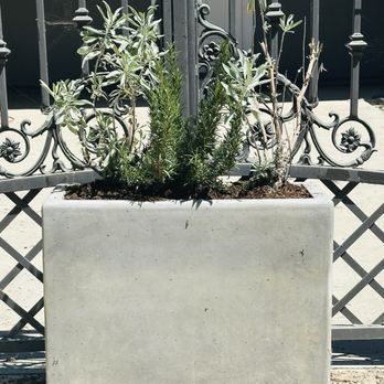 Upland Nursery - These are the plants I just potted into this planter - Sage - Rosemary - Sage . They seem to be very happy in full sun - Nurseries & Gardening Near Me - Orange, California Upland Nursery - These are the plants I just potted into this planter - Sage - Rosemary - Sage . They seem to be very happy in full sun - Nurseries & Gardening Near Me - Orange, California