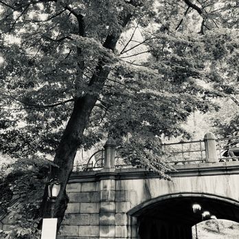 Central Park Conservancy - Parks Near Me - New York, New York