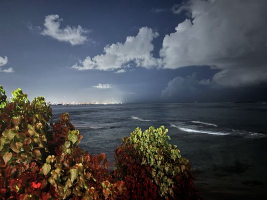 El Nuevo Acuario by null