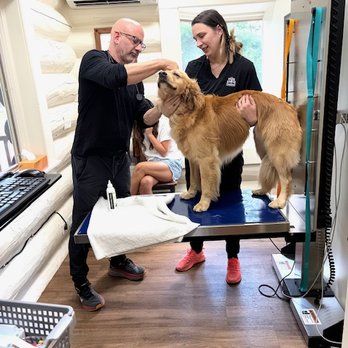 Narrowsburg Veterinary - Veterinarians Near Me - Narrowsburg, New York Narrowsburg Veterinary - Veterinarians Near Me - Narrowsburg, New York