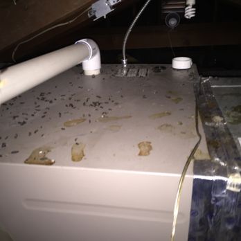 Attic Pros - Before picture when I discovered the droppings on the heater clearly indicating I had rats. - Pest Control Near Me - Oakland, California