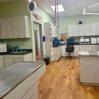 Treasured Pets Veterinary Hospital - Veterinarians Near Me - Forney, Texas Treasured Pets Veterinary Hospital - Veterinarians Near Me - Forney, Texas