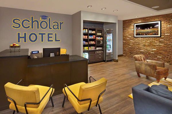 Scholar Morgantown, Tapestry Collection by Hilton by null