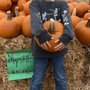 Photo of Seasonal Adventures Pumpkin Patch And Christmas Trees