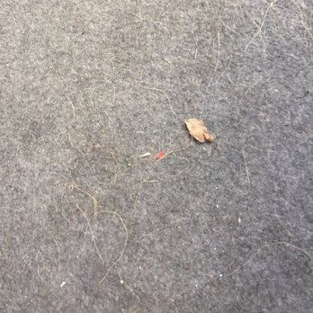 Rancho Car Wash - My carpet and seats still dirty. - Car Wash Near Me - Temecula, California