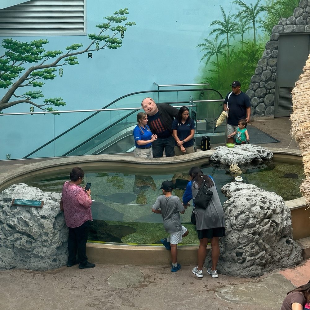 Stingray touching area Stingray touching area