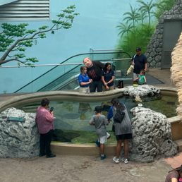 Stingray touching area