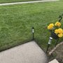 Lawn Kings Landscaping