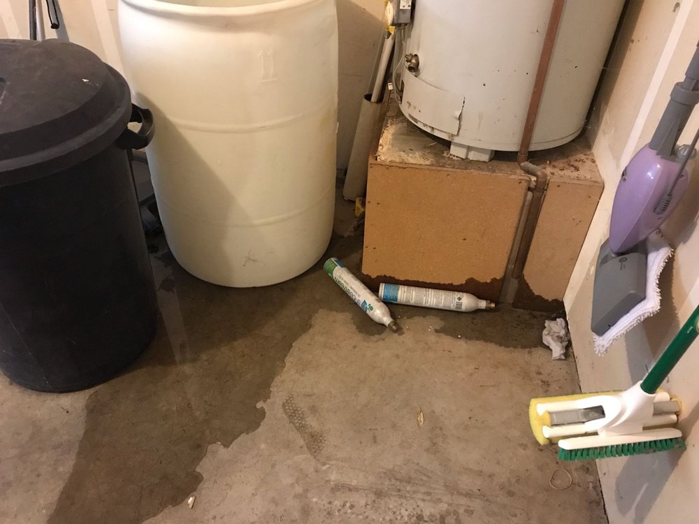 EXTREME CARPET CLEANING 18 Photos & 24 Reviews 2948 W Delta Ave