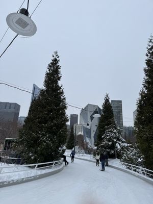 Maggie Daley Park Ice Skating Ribbon by null