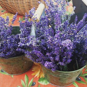 Corn Hill Arts Festival - Lavender booth - Festivals Near Me - Rochester, New York