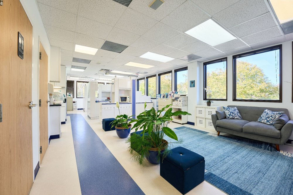 DENTAL COSMETIX THUNGA ORTEGA, DDS, MAGD Updated September 2024