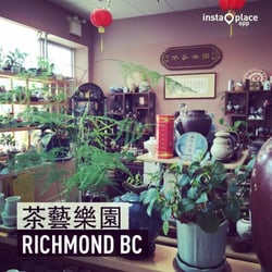 The Best Tea House - The Best Tea House
