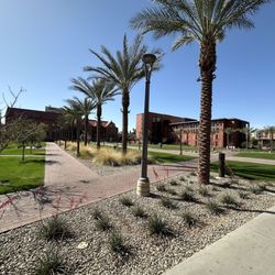Arizona State University