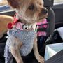 Photo of Annandale Pet Spa