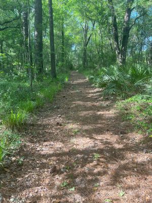 Madison Blue Spring State Park by null