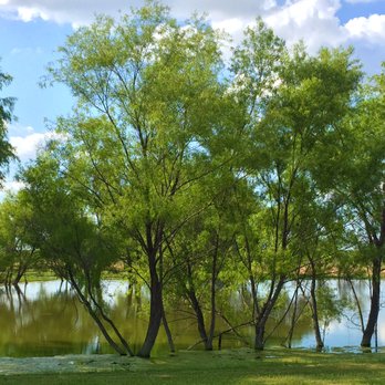 Texas Ranch RV Resort - Catch and release fishing pond - RV Parks Near Me - Alvarado, Texas Texas Ranch RV Resort - Catch and release fishing pond - RV Parks Near Me - Alvarado, Texas