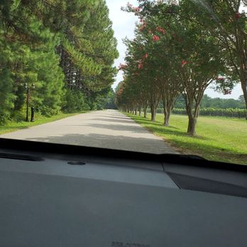 Gabriel Archer Tavern - The road leading to restaurant and vineyard - New American Near Me - Williamsburg, Virginia Gabriel Archer Tavern - The road leading to restaurant and vineyard - New American Near Me - Williamsburg, Virginia